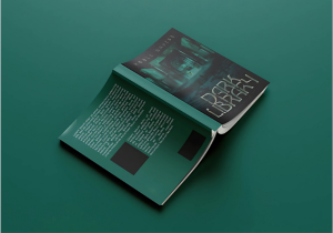 Book Cover 3
